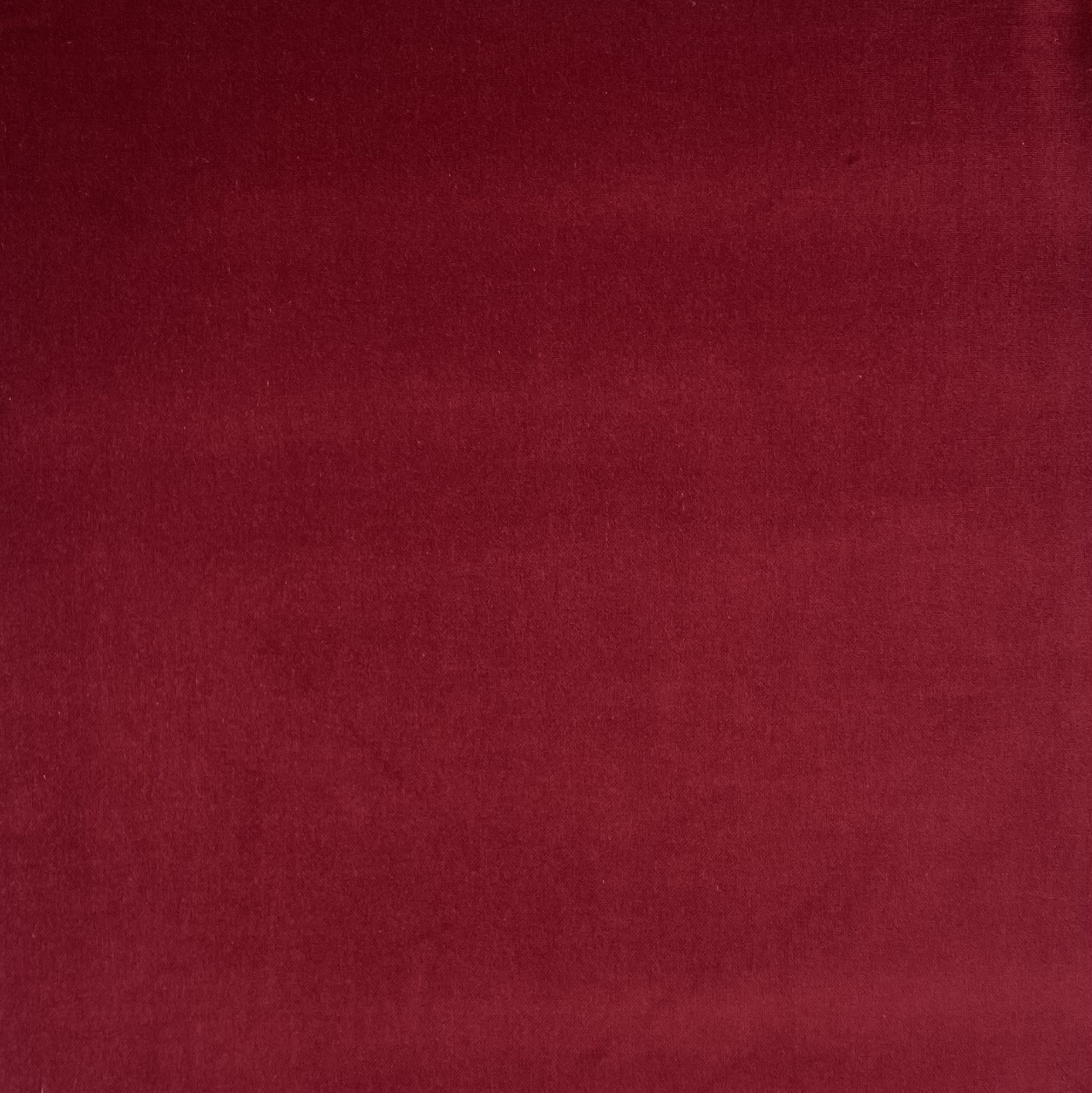 k3523-redcurrent-337