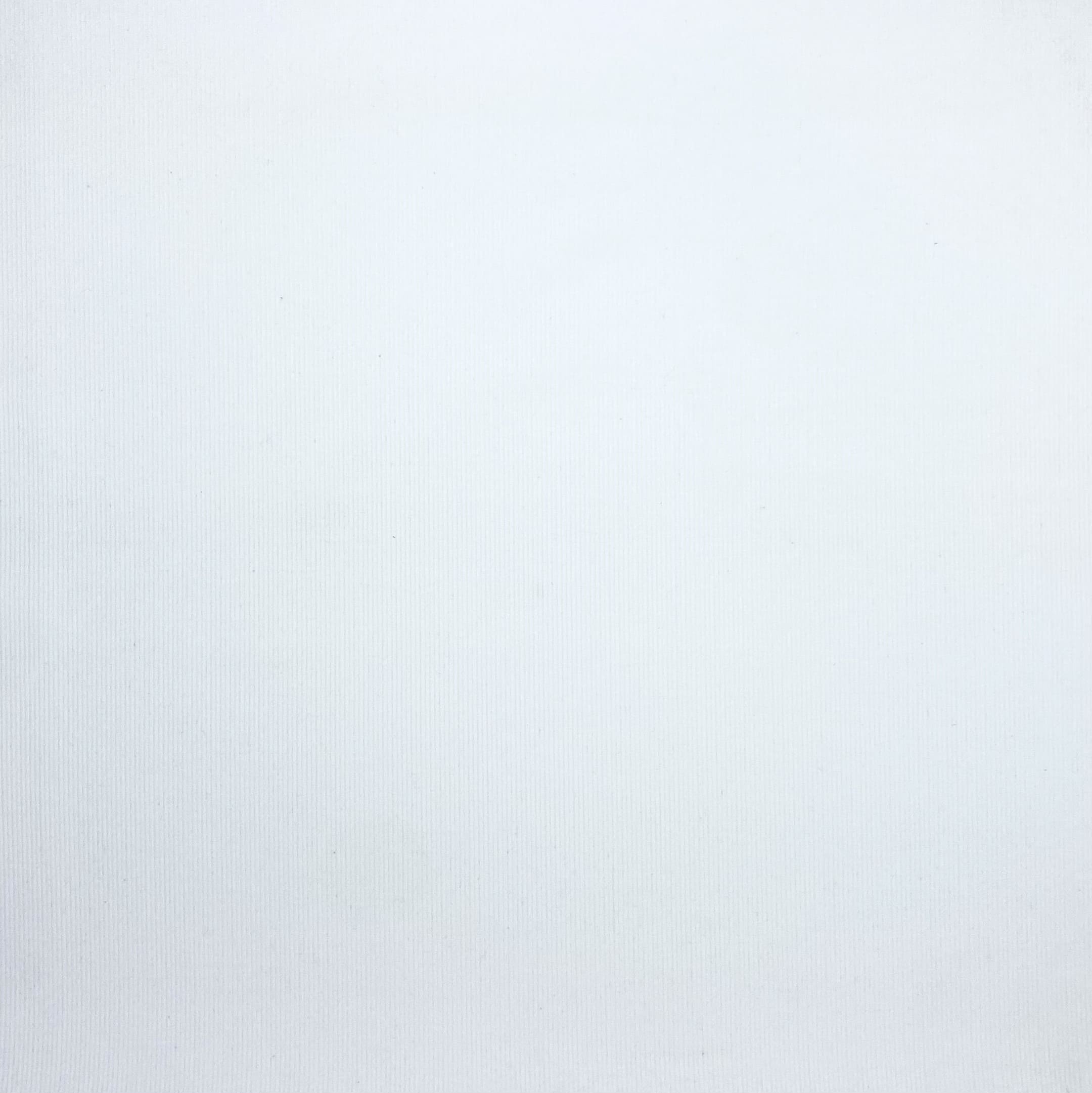 Winter White 52 (1)
