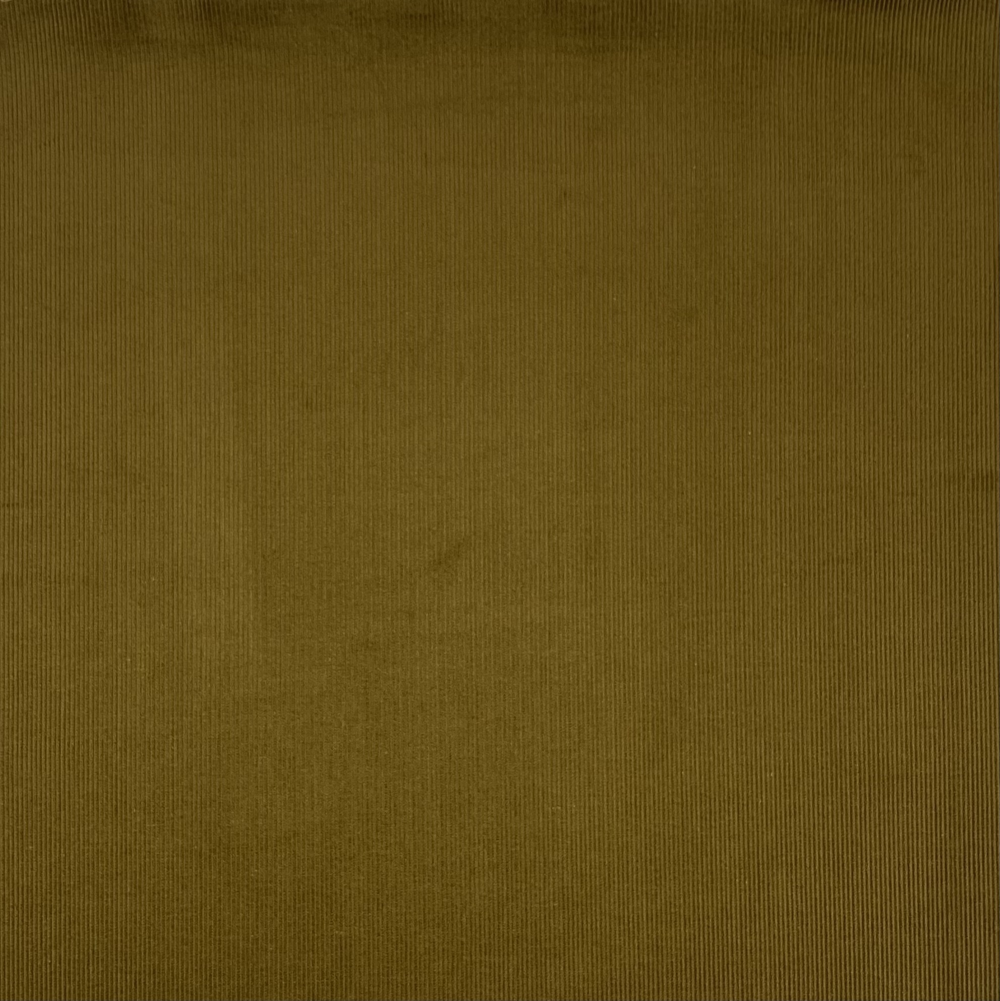 nena-drab-2655