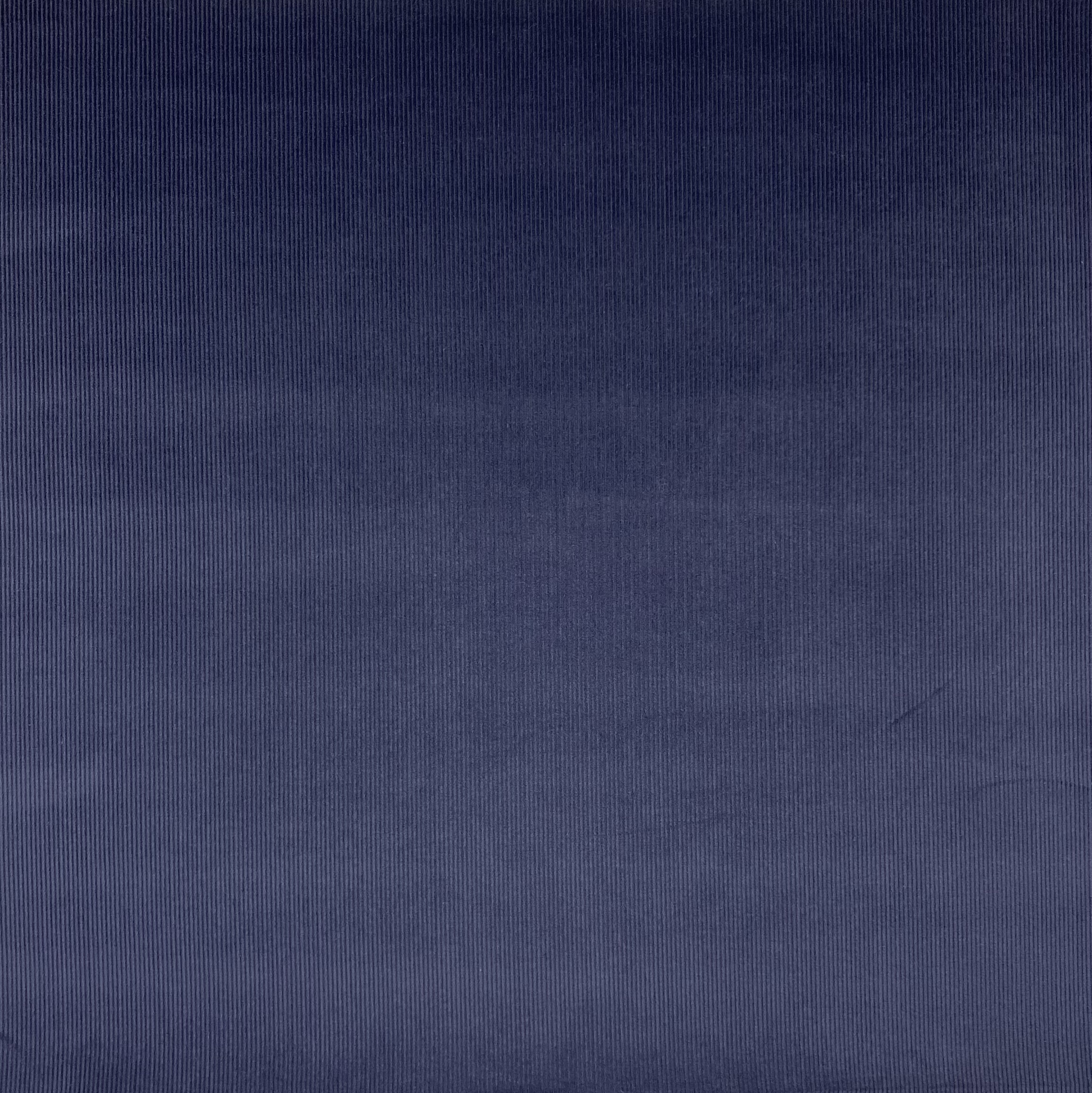 nena-navy-509